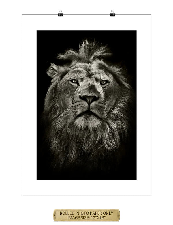 The King Wild Animal Wall Art