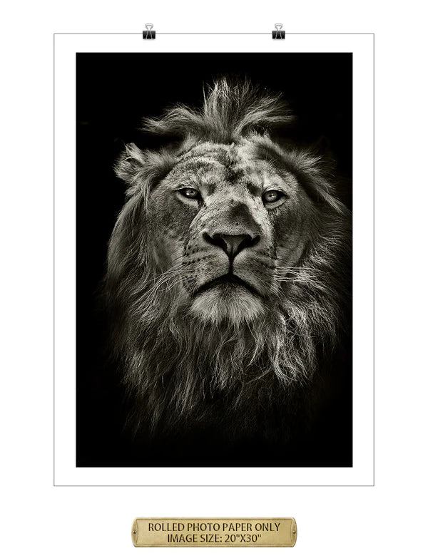 The King Wild Animal Wall Art
