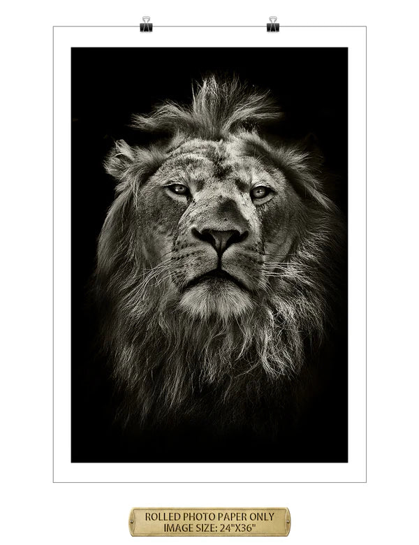 The King Wild Animal Wall Art