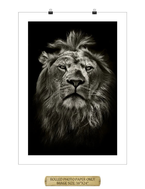 The King Wild Animal Wall Art